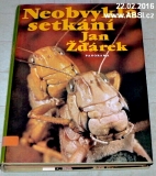 NEOBVYKLÁ SETKÁNÍ