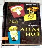 KAPESNÍ ATLAS HUB