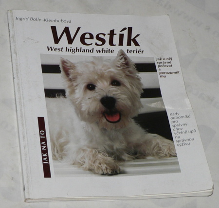 WESTÍK - JAK NA TO