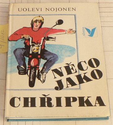 NĚCO JAKO CHŘIPKA