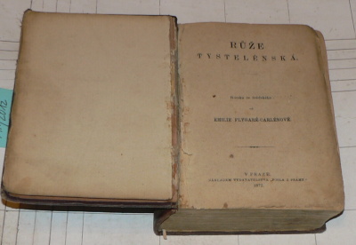 RŮŽE TYSTELÉNSKÁ - ROMÁN ZE ŠVÉDSKÉHO