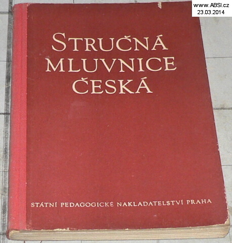 STRUČNÁ MLUVNICE ČESKÁ