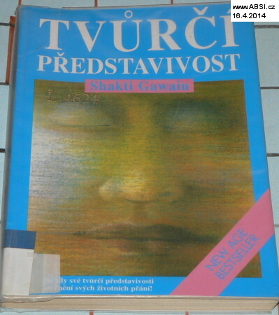 TVŮRČÍ PŘEDSTAVIVOST
