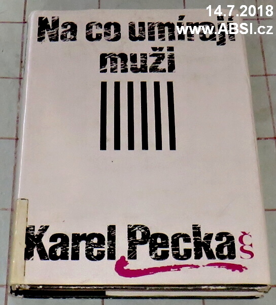 NA CO UMÍRAJÍ MUŽI