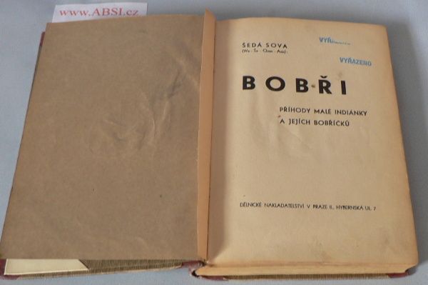 BOBŘI - PŘÍHODY MALÉ INDIÁNKY A JEJICH BOBŘÍKů