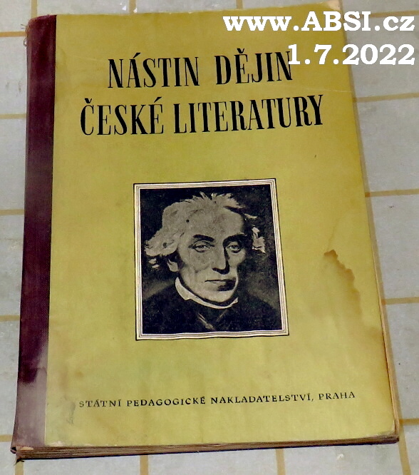 NÁSTIN DĚJIN ČESKÉ LITERATURY OD POČÁTKU NÁRODNÍHO OBROZENÍ AŽ DO SOUČASNOSTI