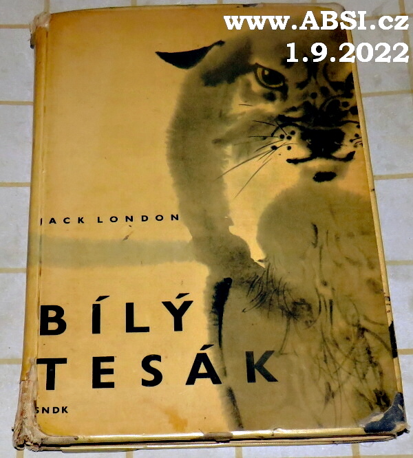 BÍLÝ TESÁK