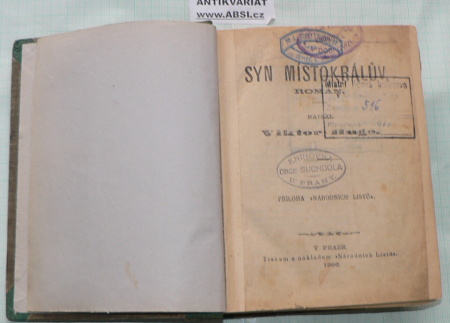 SYN MÍSTOKRÁLŮV - ROMÁN