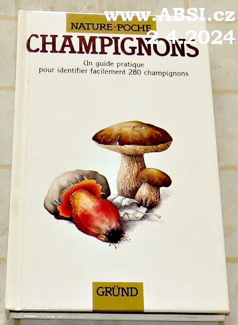CHAMPIGNONS