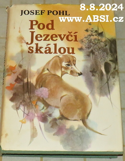 POD JEZEVČÍ SKÁLOU