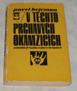 V TĚCHTO PRCHAVÝCH OKAMŽICÍCH