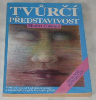 TVŮRČÍ PŘEDSTAVIVOST