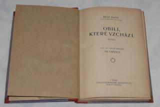 OBILÍ, KTERÉ VZCHÁZÍ - ROMÁN