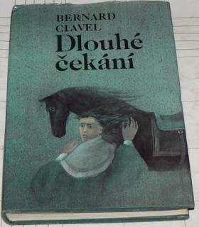 DLOUHÉ ČEKÁNÍ
