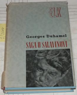 SÁGA O SALAVINOVI