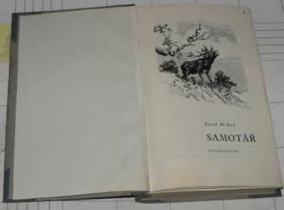 SAMOTÁŘ (ROMÁN DUBINY)