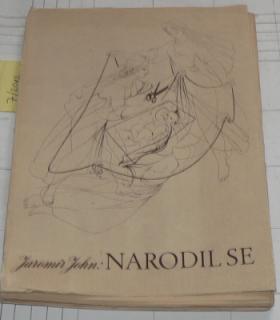 NARODIL SE - ROMÁN ZROZENÍ A RŮSTU KTERÝ SE ČTE NAHLAS