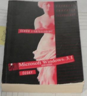 MICROSOFT WINDOWS 3.1 - USERS MANUAL - ČESKY