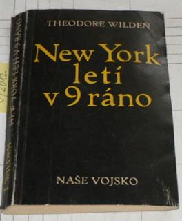 NEW YORK LETÍ V 9 RÁNO