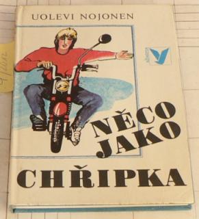 NĚCO JAKO CHŘIPKA