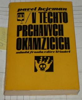 V TĚCHTO PRCHAVÝCH OKAMŽICÍCH