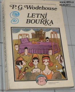 LETNÍ BOUŘKA