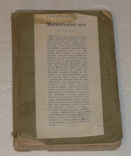 MARNOTRATNÝ SYN