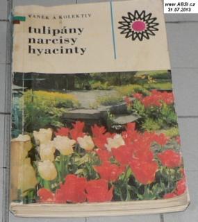 TULIPÁNY, NARCISY, HYACINTY