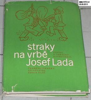 STRAKY NA VRBĚ