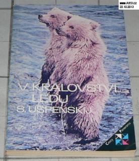 V KRÁLOVSTVÍ LEDU