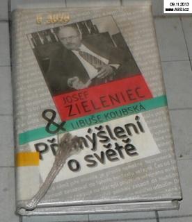 PŘEMÝŠLENÍ O SVĚTĚ