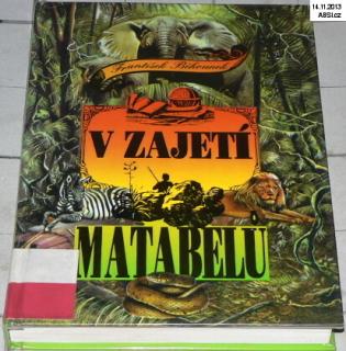 V ZAJETÍ MATEBELU