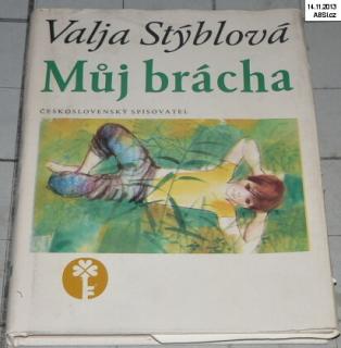 MŮJ BRÁCHA