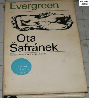 EVERGREEN ANEB JEDINEČNÉ TŘEŠNĚNÍ
