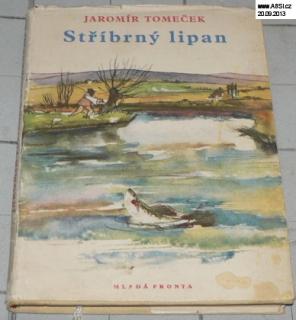 STŘÍBRNÝ LIPAN