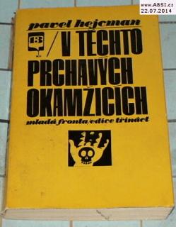 V TĚCHTO PRCHAVÝCH OKAMŽICÍCH