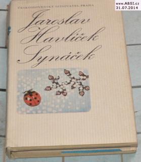 SYNÁČEK