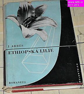 ETHIOPSKÁ LILIE - ROMANETO