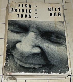 BÍLÝ KŮŇ