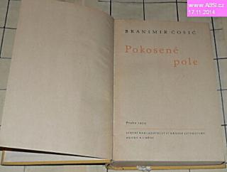 POKOSENÉ POLE