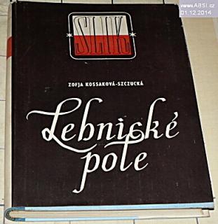 LEHNICKÉ POLE - HISTORICKÝ ROMÁN