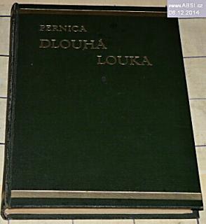 DLOUHÁ LOUKA