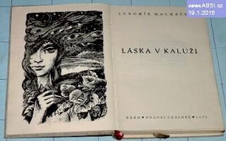 LÁSKA V KALUŽI