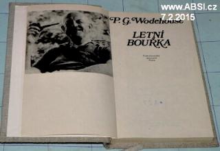 LETNÍ BOUŘKA