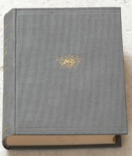 OSTROV V BOUŘI