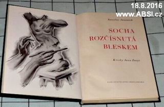 SOCHA ROZČÍSNUTA BLESKEM