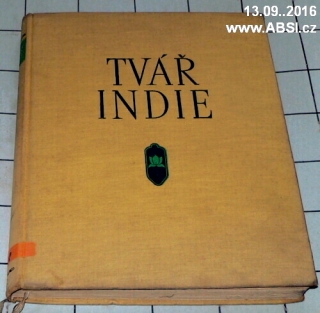 TVÁŘ INDIE