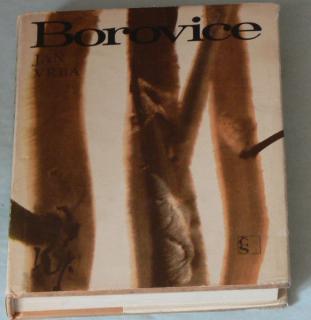 BOROVICE