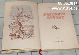 KVĚTINOVÉ HVĚZDY