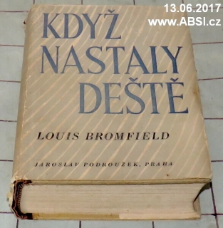 KDYŽ NASTALY DEŠTĚ - ROMÁN MODERNÍ INDIE